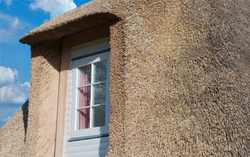 Bennacott thatch roof disadvantages