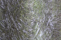 Bennacott fibreglass roof work